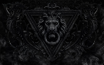 Lion-Black-and-White---.jpg (2560Ã1600) | backgrounds | Pinterest | and HD wallpaper